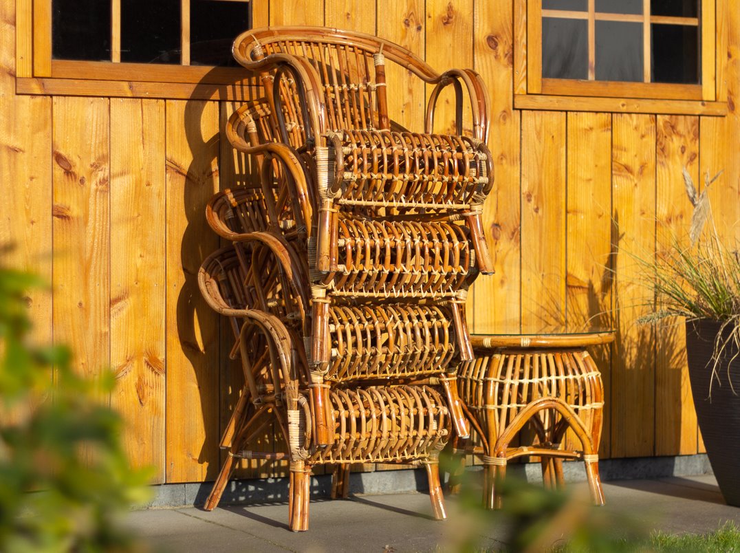 snel Kinematica royalty Rotan terrasstoel - stapelbare rieten stoelen